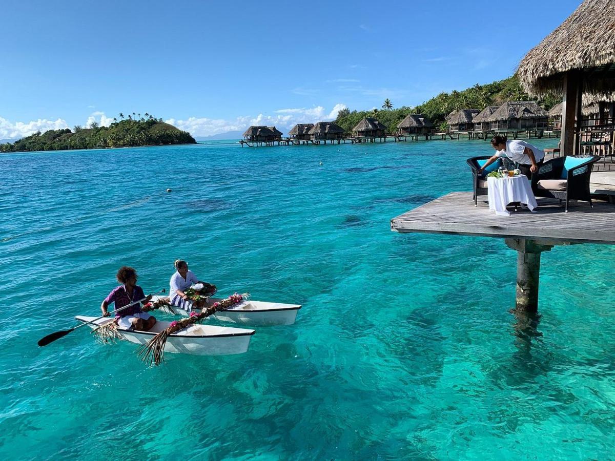 Aparthotel Island